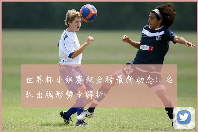 世界杯小组赛积分榜最新动态：各队出线形势全解析
