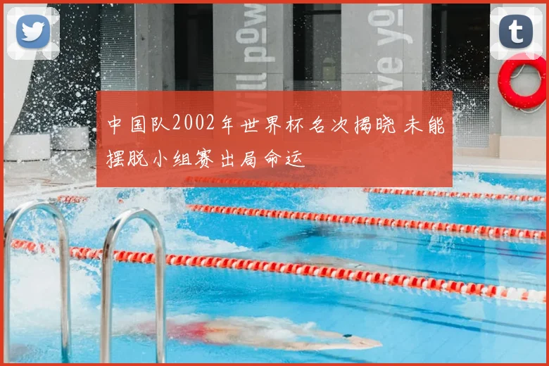中国队2002年世界杯名次揭晓 未能摆脱小组赛出局命运