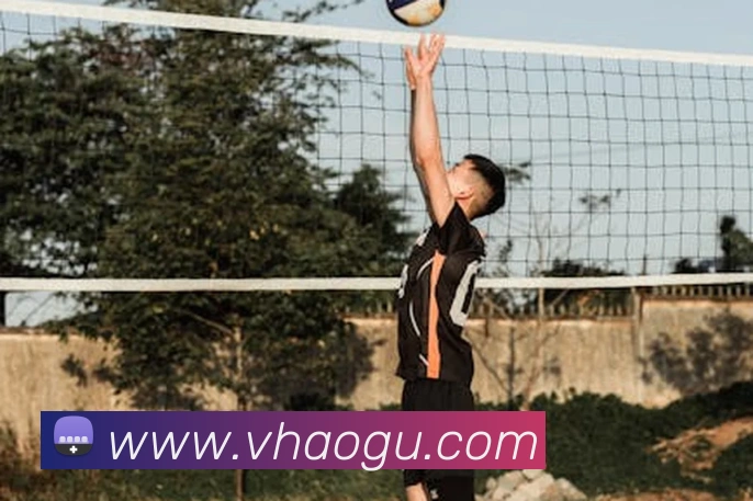 App Interface Preview